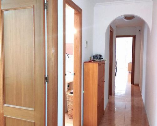 apartments torrevieja 