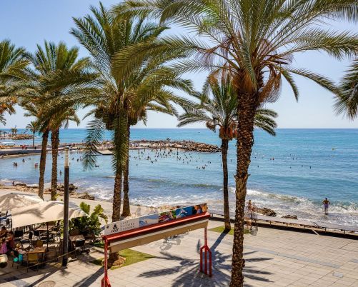 Apartamento Torrevieja Alicante
