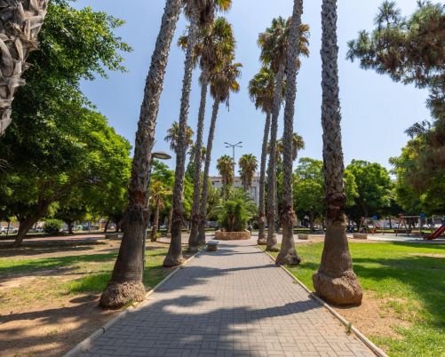 Spacieux rez-de-chaussée à Torrevieja - Opportunité unique