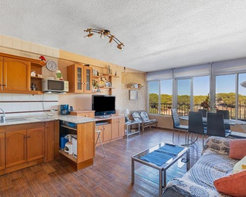 Fantastic two-bedroom apartment with unobstructed views of the pine forest