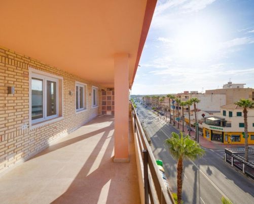 Apartamento Torrevieja Alicante