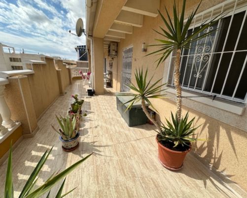 Apartmán v Torrevieja, Alicante