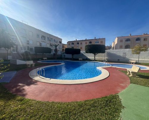 Apartamento Torrevieja Alicante