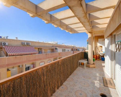 Apartamento Torrevieja Alicante