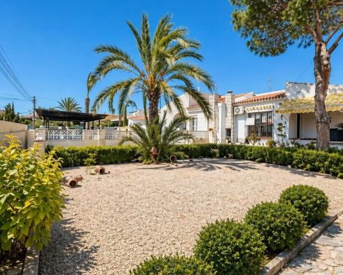 Opportunité de rénovation à Aguas Nuevas, terrain de près de 600 m2