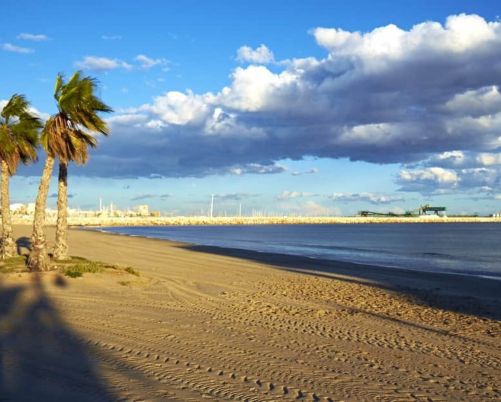 Apartment Torrevieja Alicante