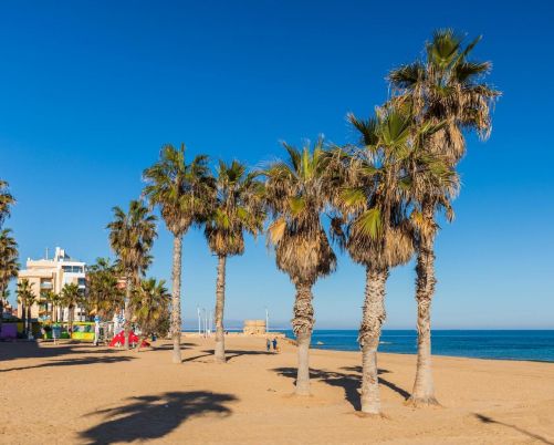 Penthouse Torrevieja ALICANTE